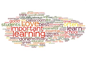 A 2012 EdCamp in Philly surveyed the feelings on professional development in general. These are their results.
